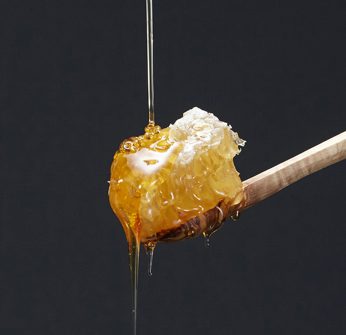Honeycomb with honey dripping from a wooden stick against a black background