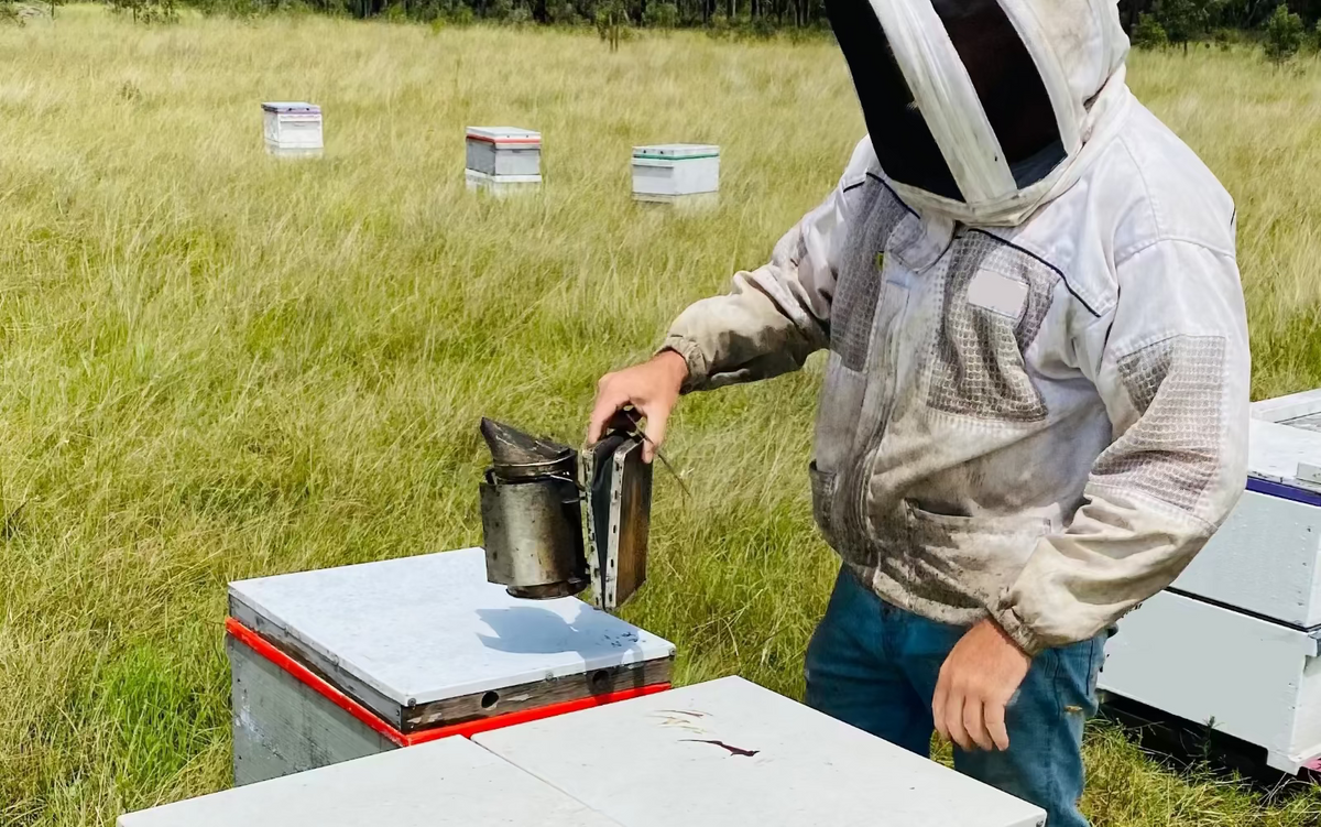 Person in beekeeping suit working with bee boxes in a field